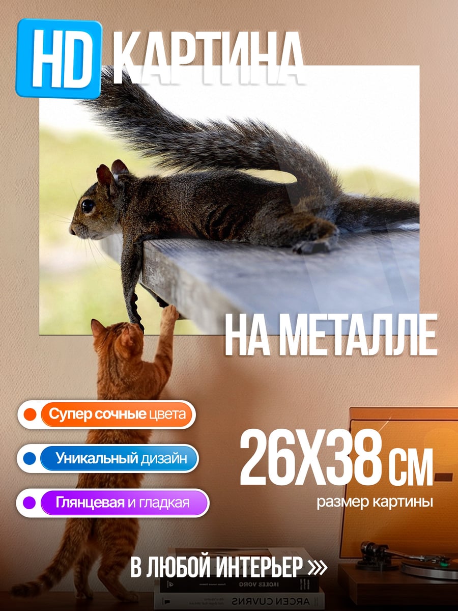 Картина на металле Ленивая белка