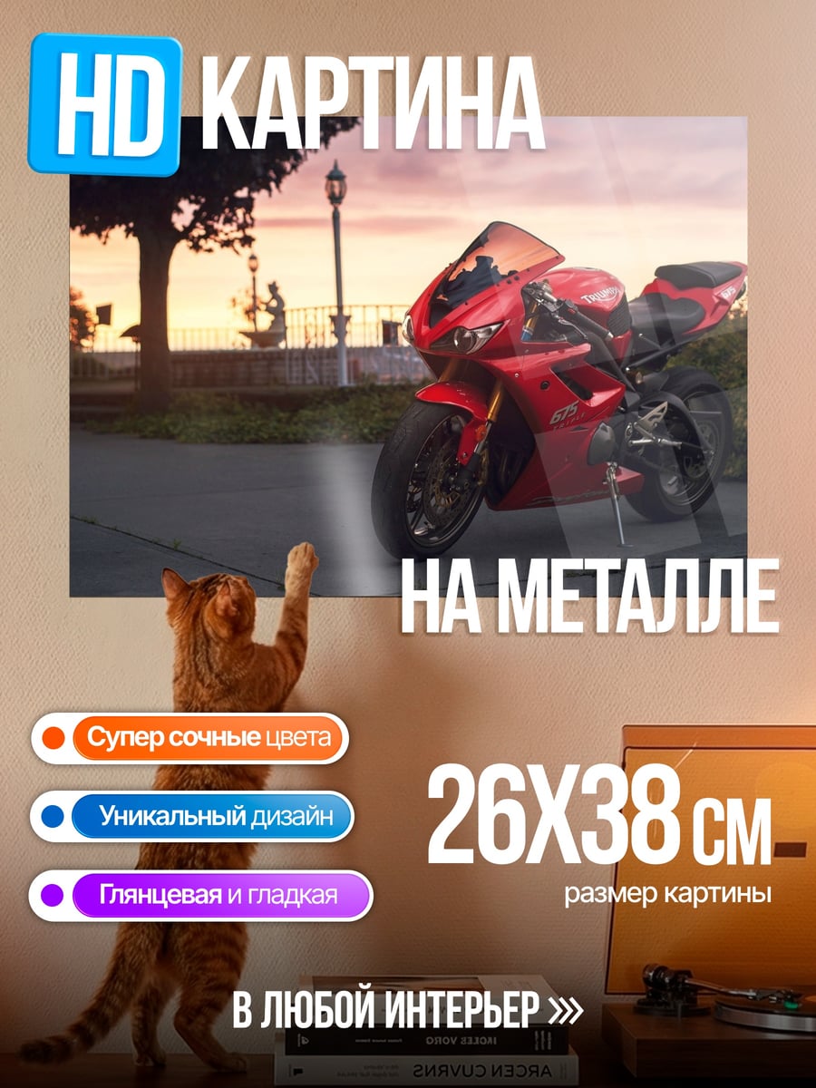 Картина на металле Красный мотоцикл