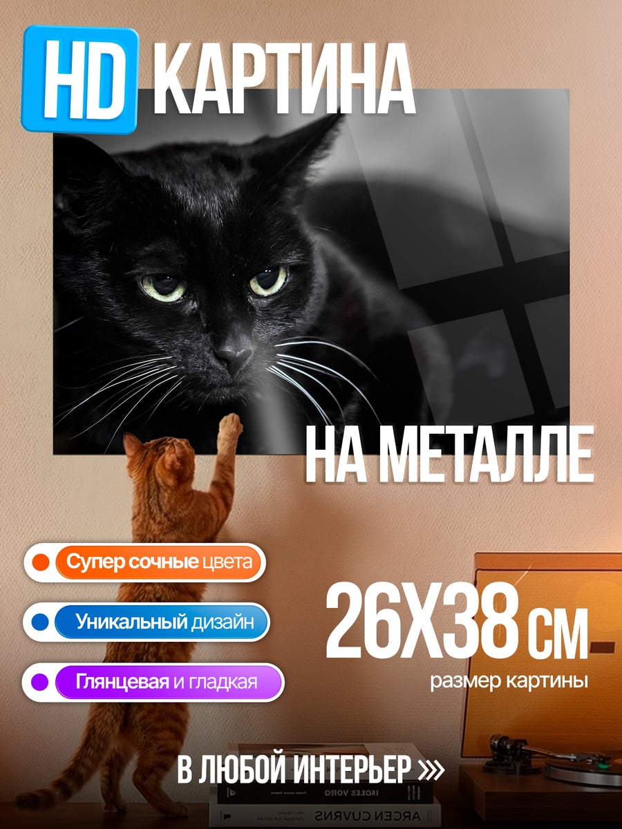 Картина на металле Черный кот