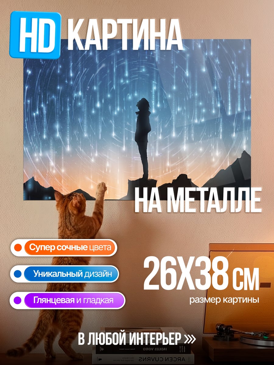 Картина на металле Девушка под звездами