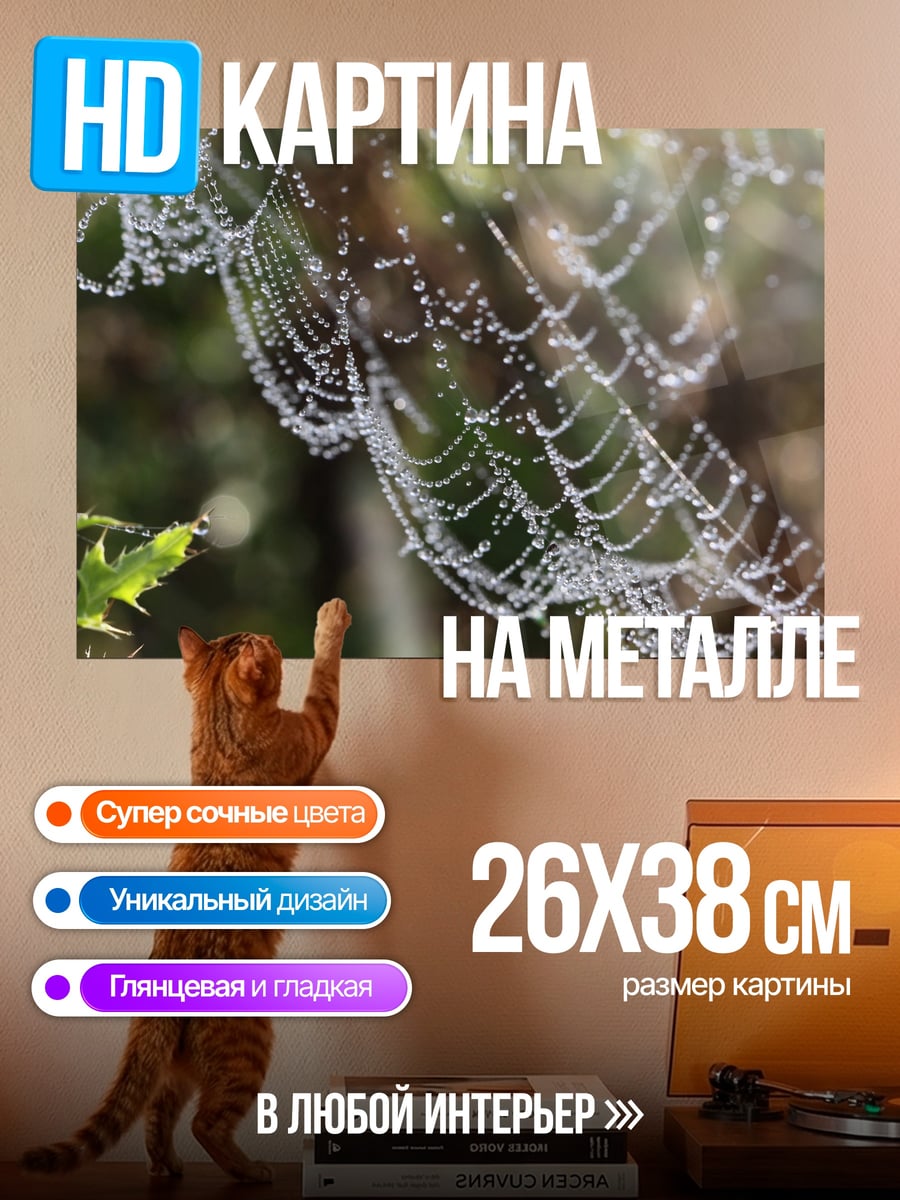 Картина на металле паутина роса утро