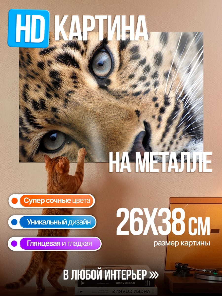 Картина на металле портрет леопарда