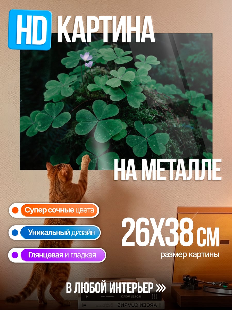 Картина на металле Клевер в лесу