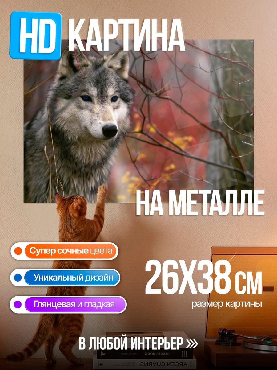 Картина на металле Портрет волка