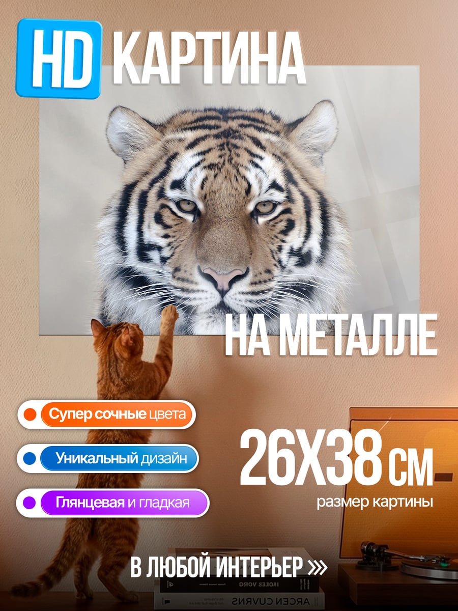 Картина на металле Портрет тигра