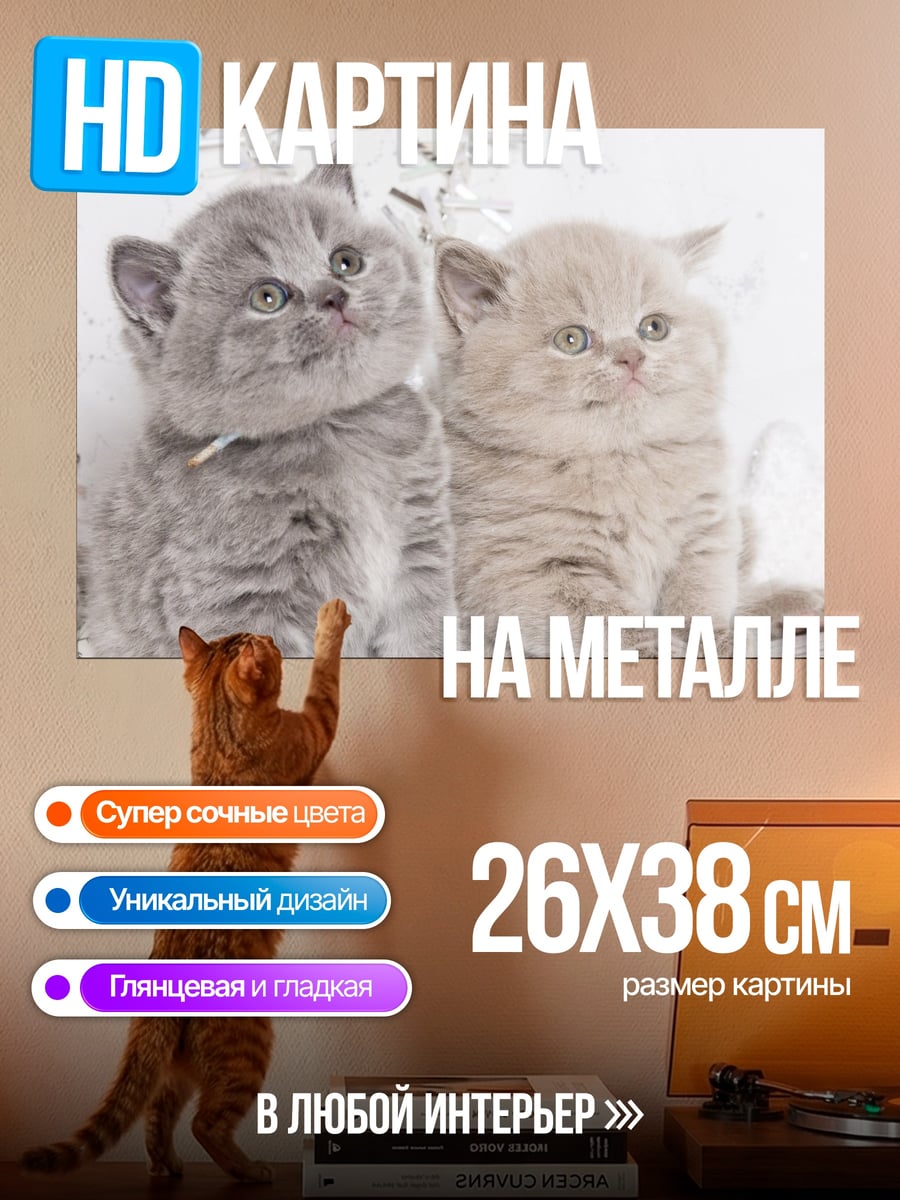 Картина на металле Два котенка