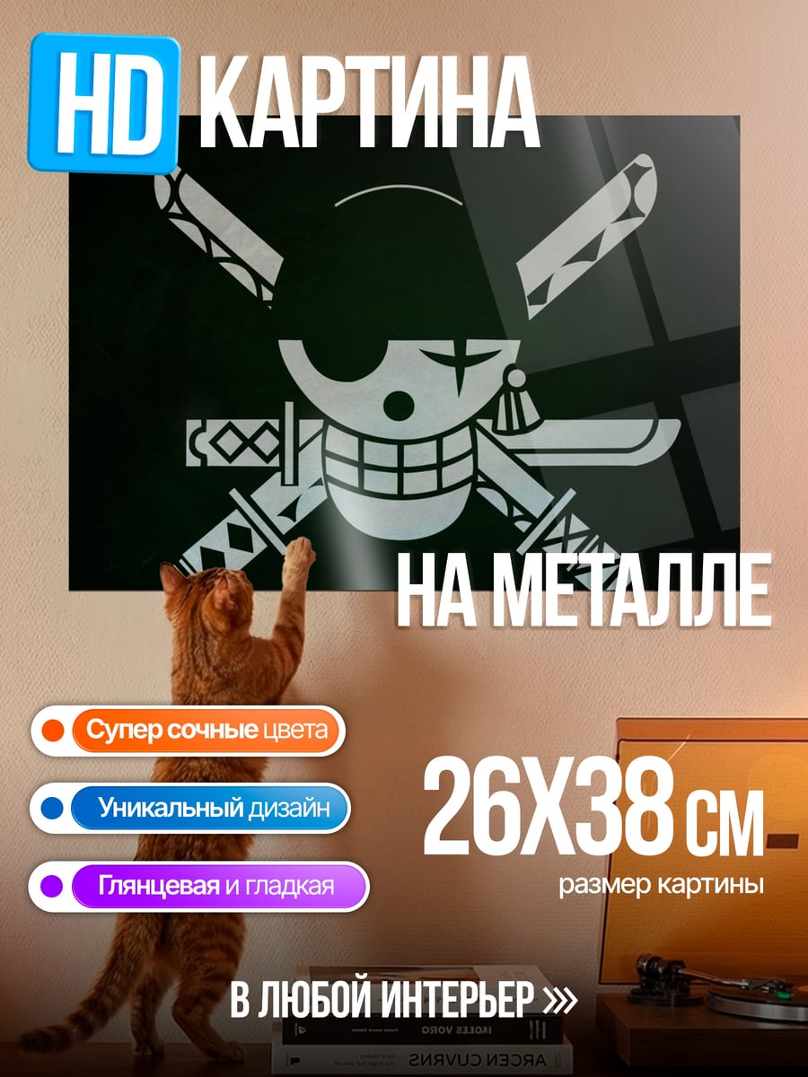 Картина на металле Зоро Флаг