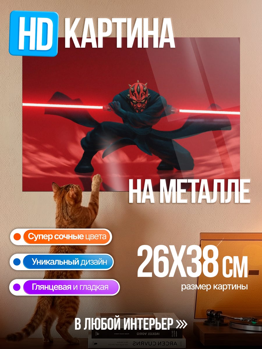Картина на металле Дарт Мол бой