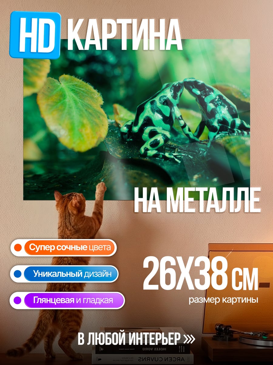 Картина на металле зеленая древесная лягушка