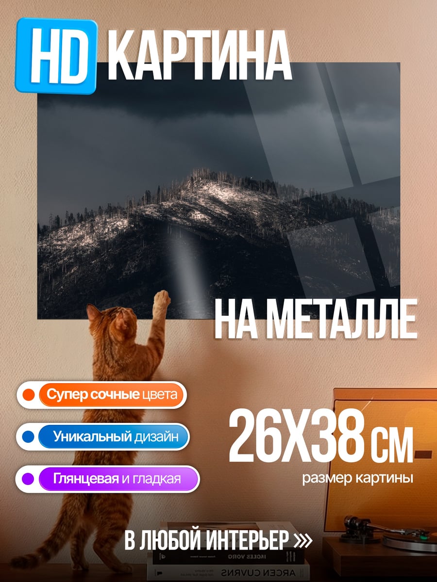 Картина на металле темная гора