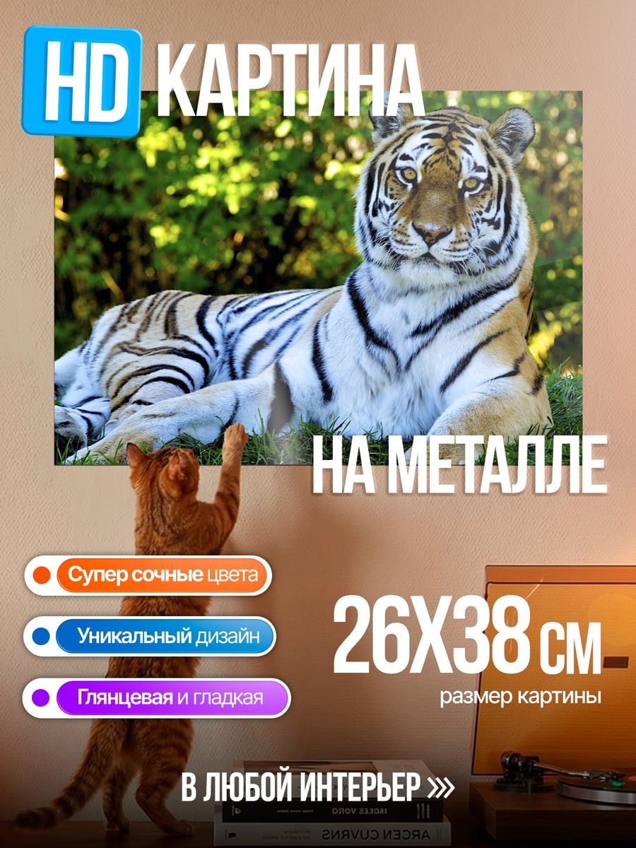 Картина на металле Лежащий тигр