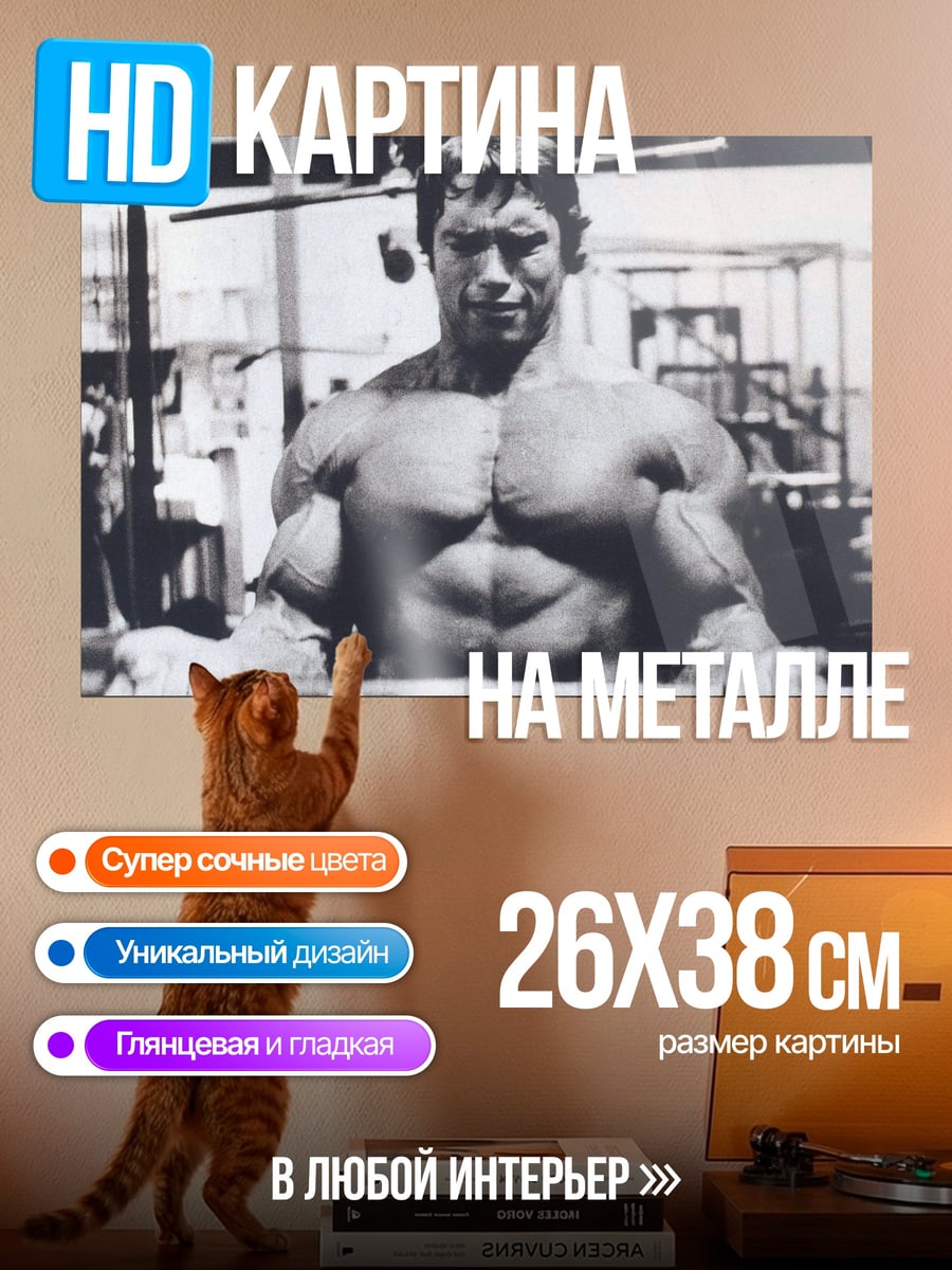 Картина на металле Арнольд Шварценеггер в зале