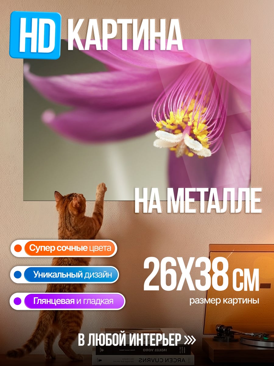 Картина на металле Крупный план розового цветка