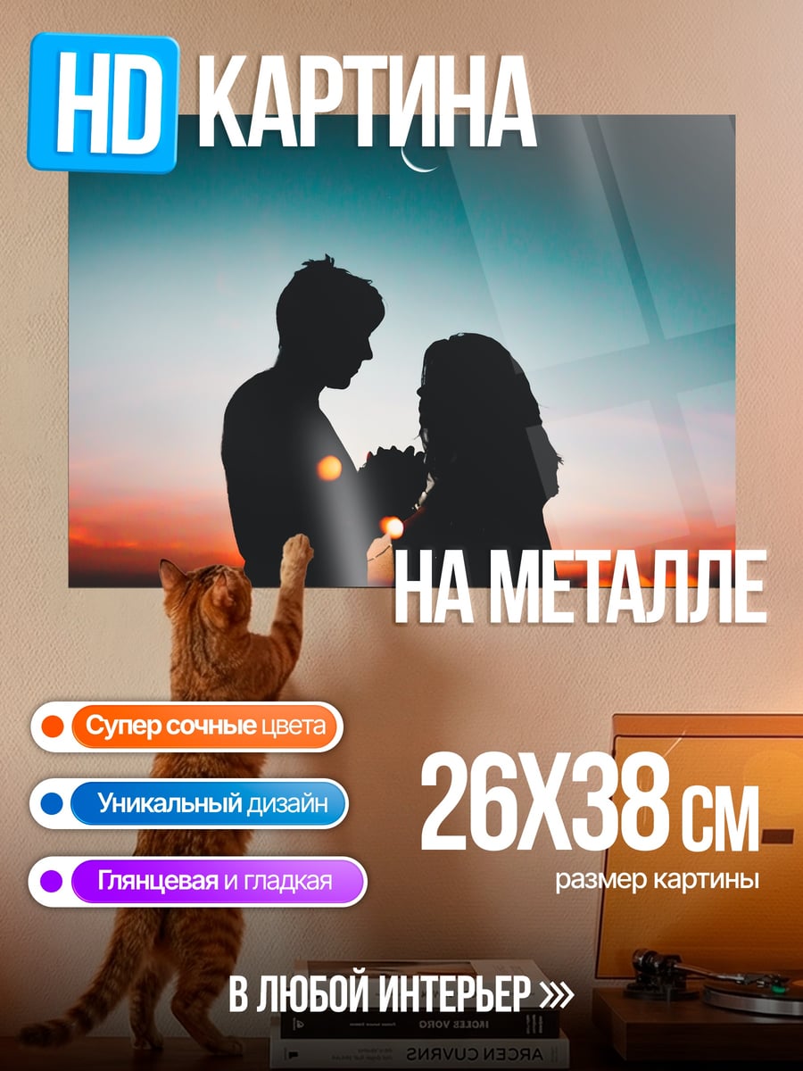 Картина на металле Пара на закате