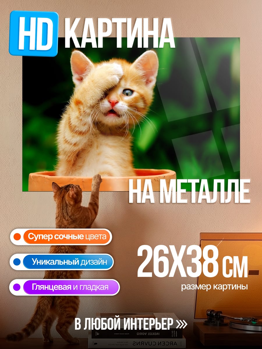 Картина на металле Смущенный котенок