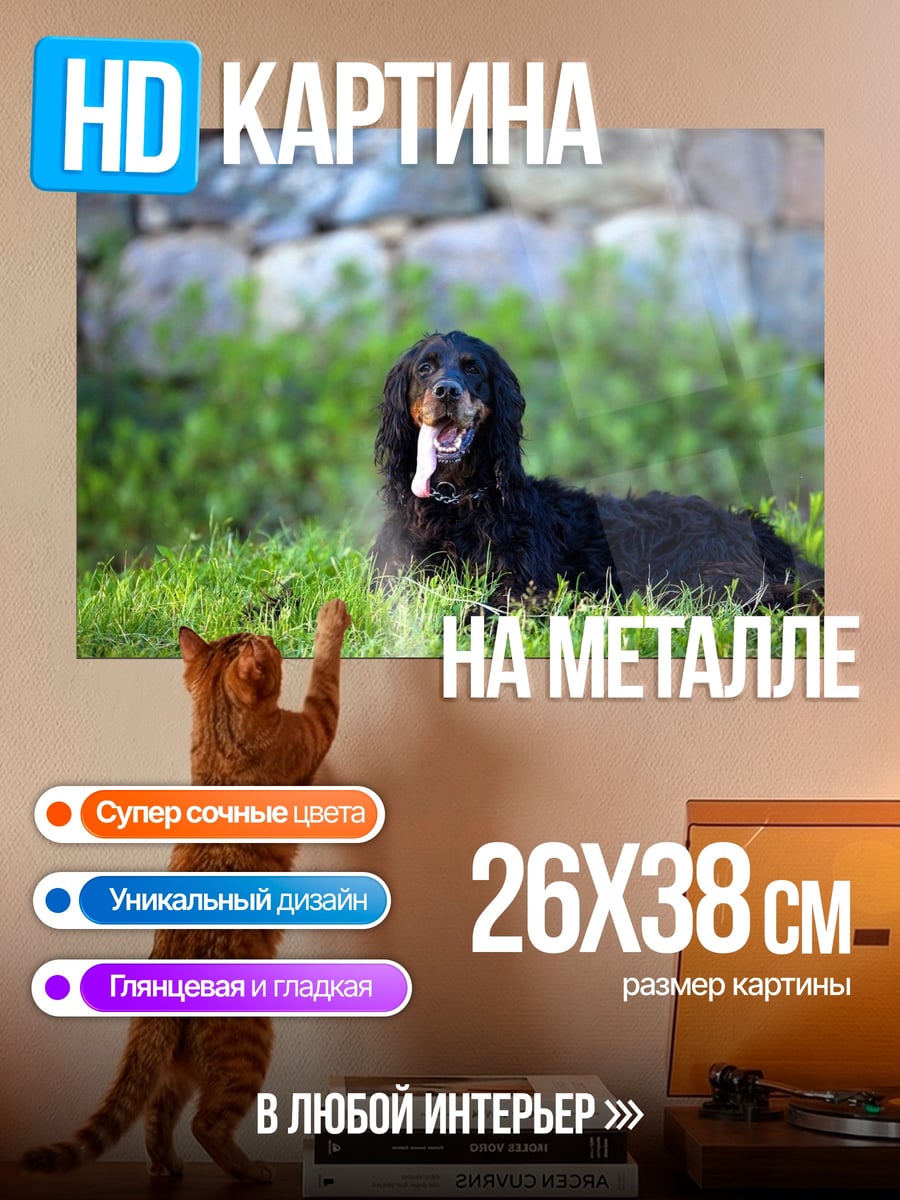 Картина на металле Черный пес на траве