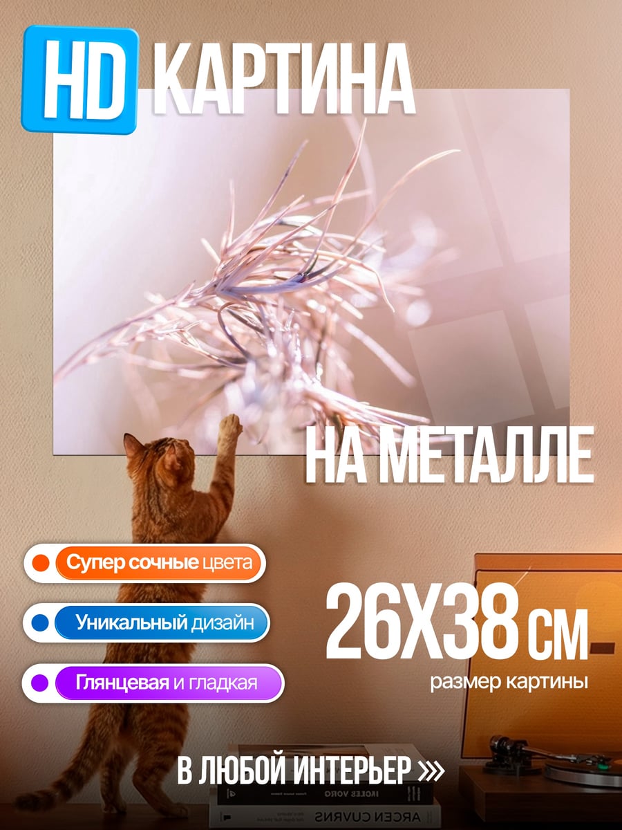 Картина на металле Сухая трава крупным планом