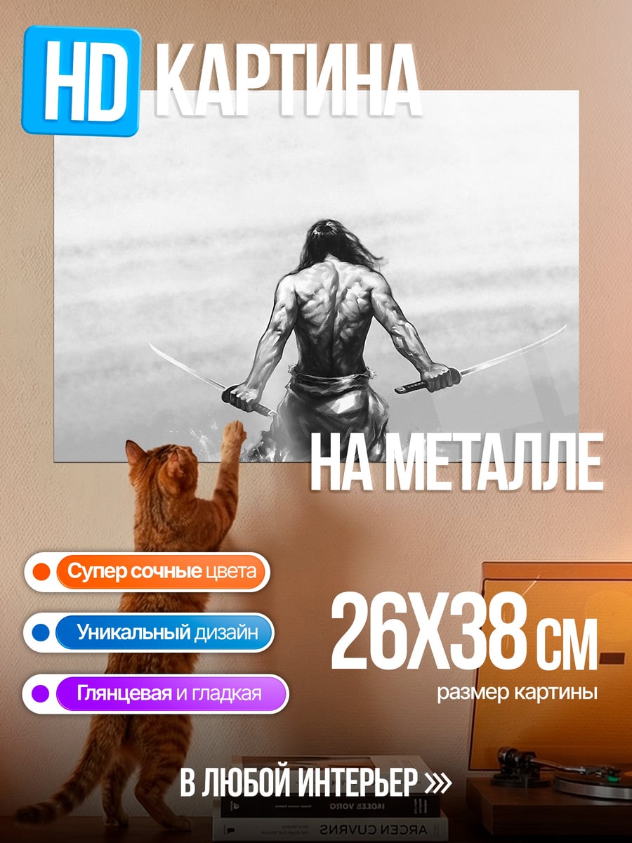 Картина на металле Воин с мечами