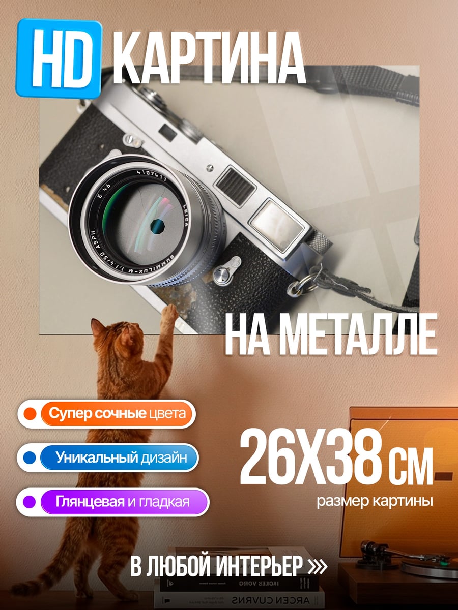Картина на металле Старая камера
