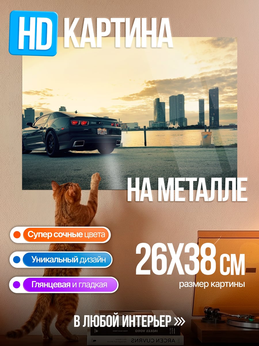 Картина на металле машина на фоне города