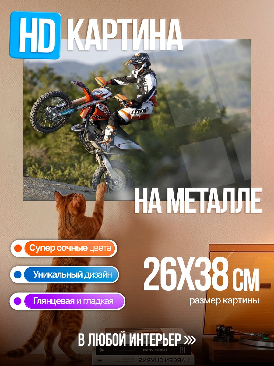 Картина на металле Мото трюк на закате