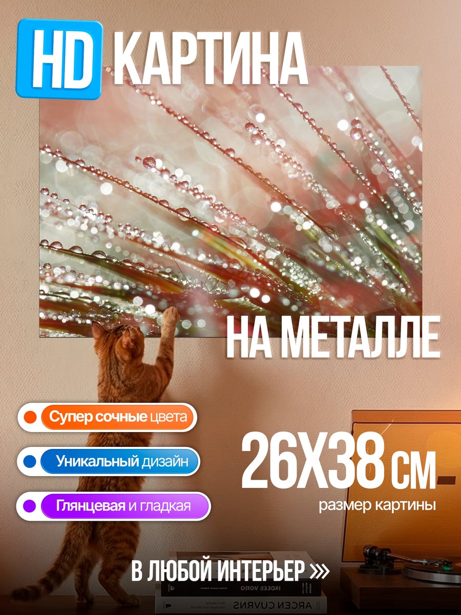 Картина на металле Капли росы на траве