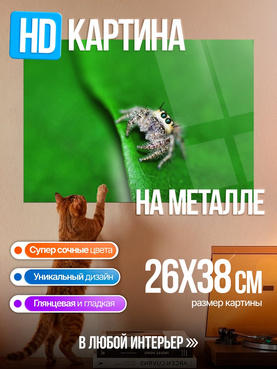 Картина на металле паук на листе