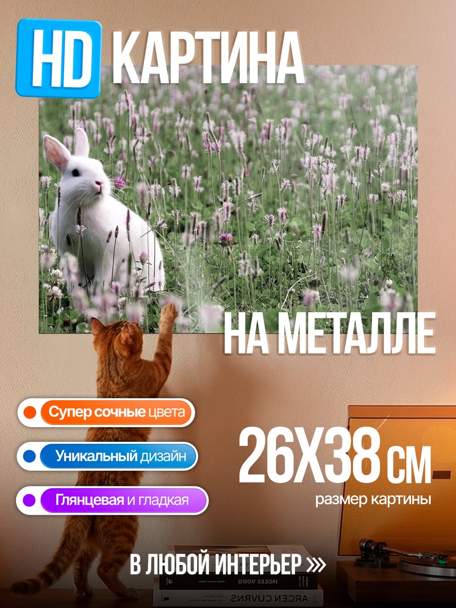 Картина на металле белый кролик в поле