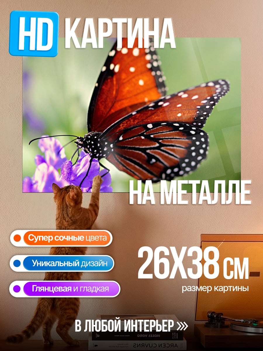 Картина на металле оранжевая бабочка