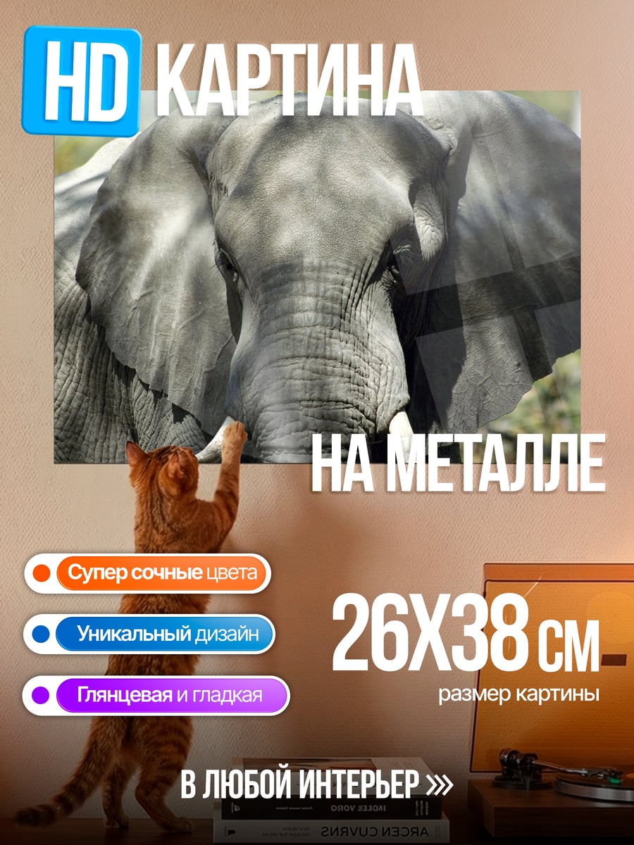 Картина на металле Слон в саванне