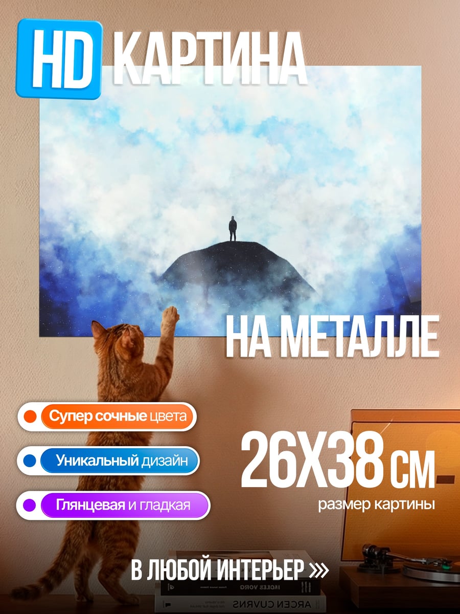 Картина на металле Одинокий путник на вершине