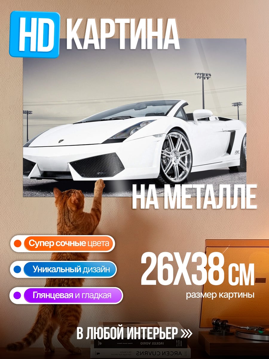 Картина на металле Белый Lamborghini Gallardo