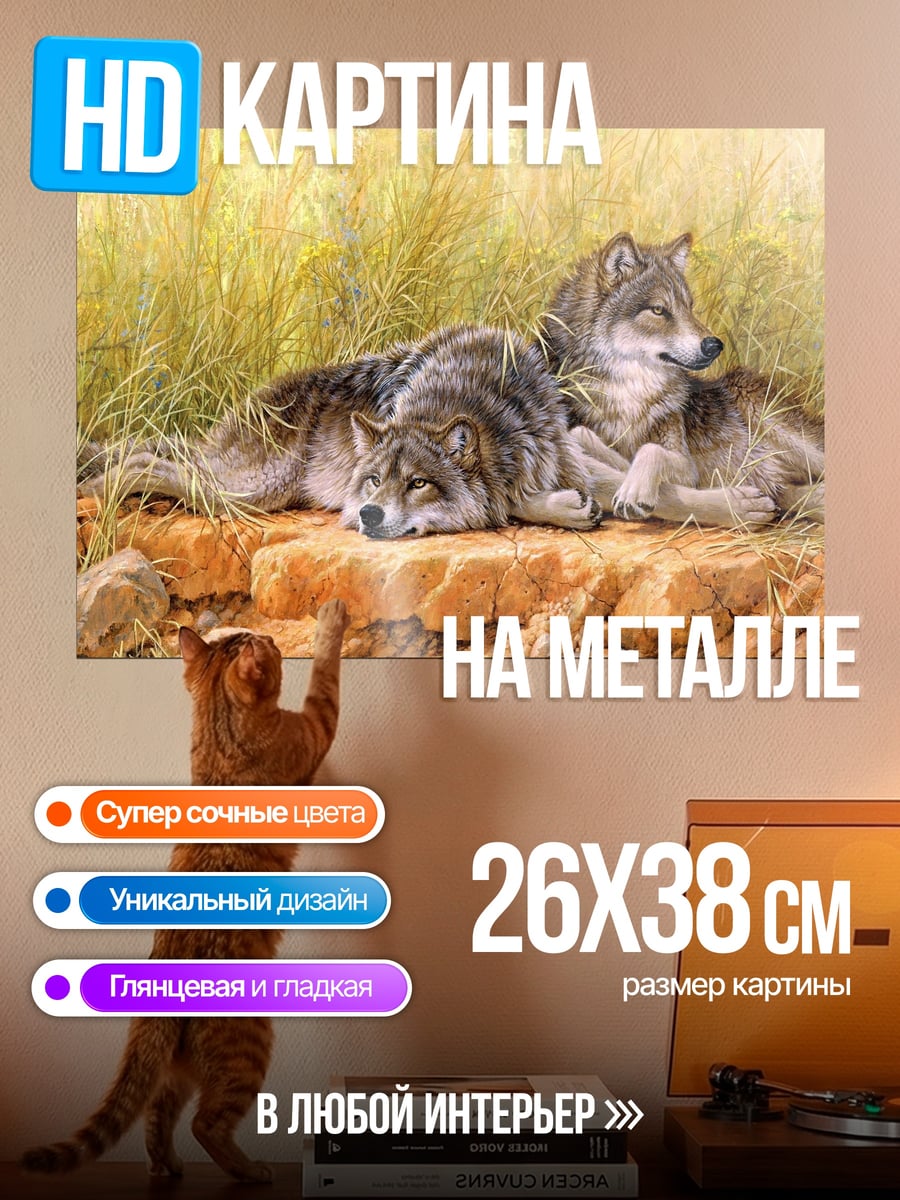 Картина на металле Два волка на камне