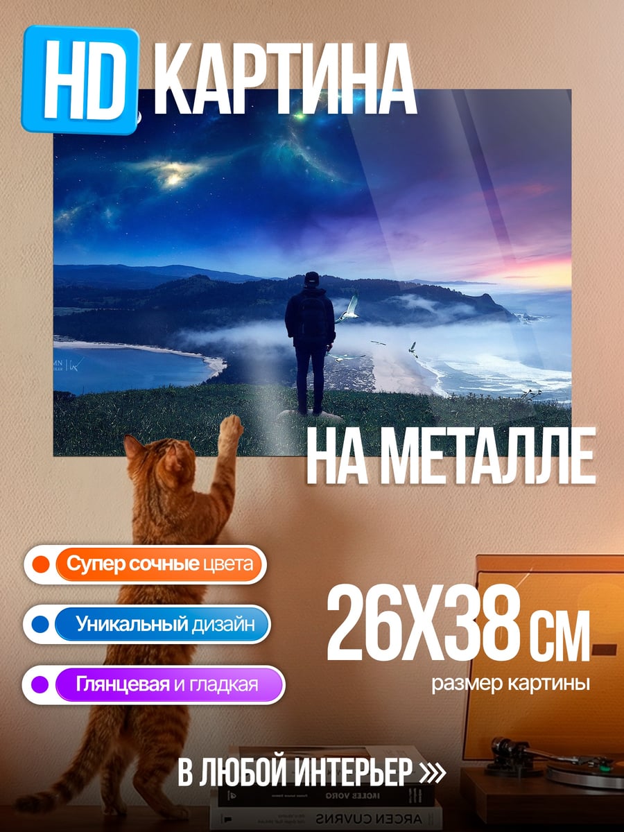 Картина на металле Человек смотрит на звезды