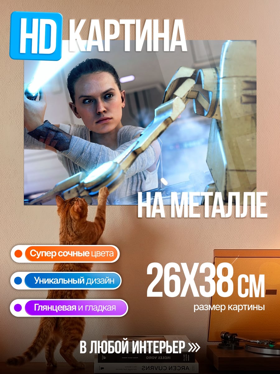Картина на металле Рей против дроида