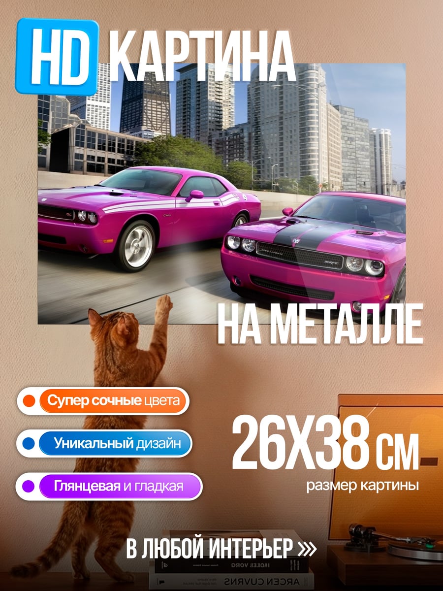 Картина на металле Розовые маслкары в городе