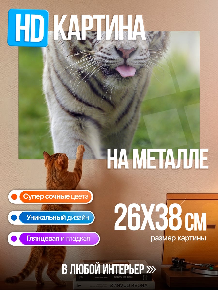 Картина на металле Белый тигр высунул язык