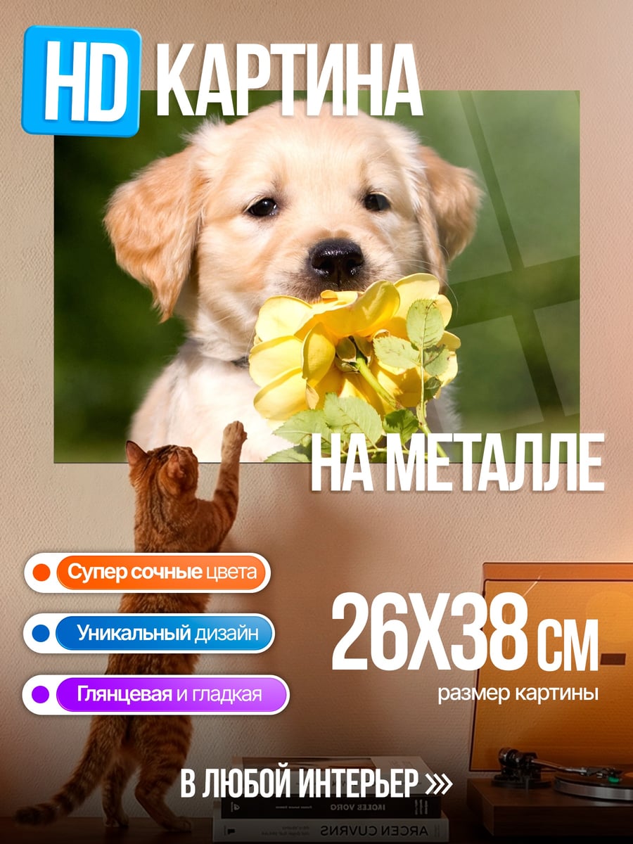 Картина на металле Щенок с цветком