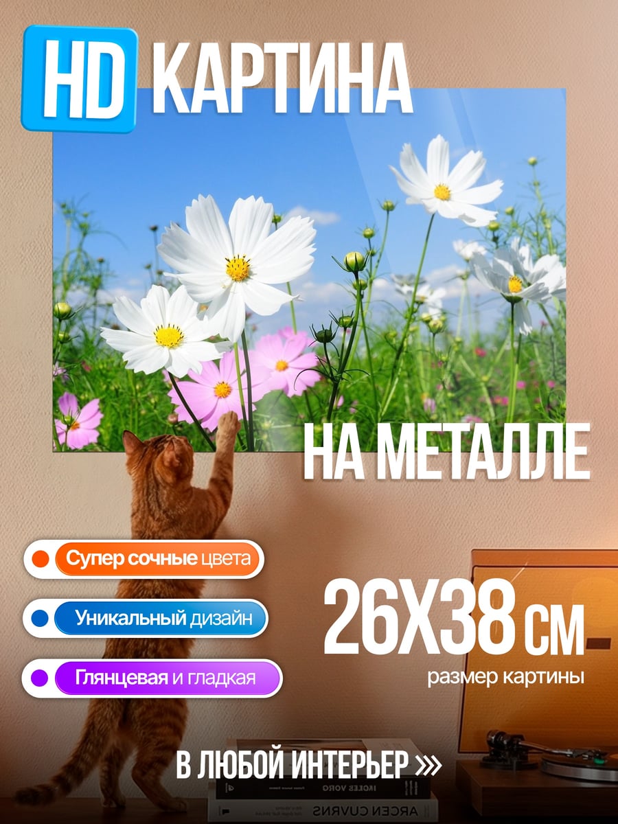 Картина на металле Поле космосов