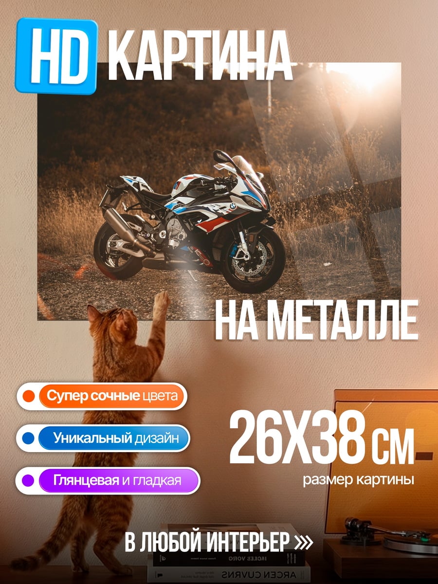 Картина на металле Спортивный мотоцикл