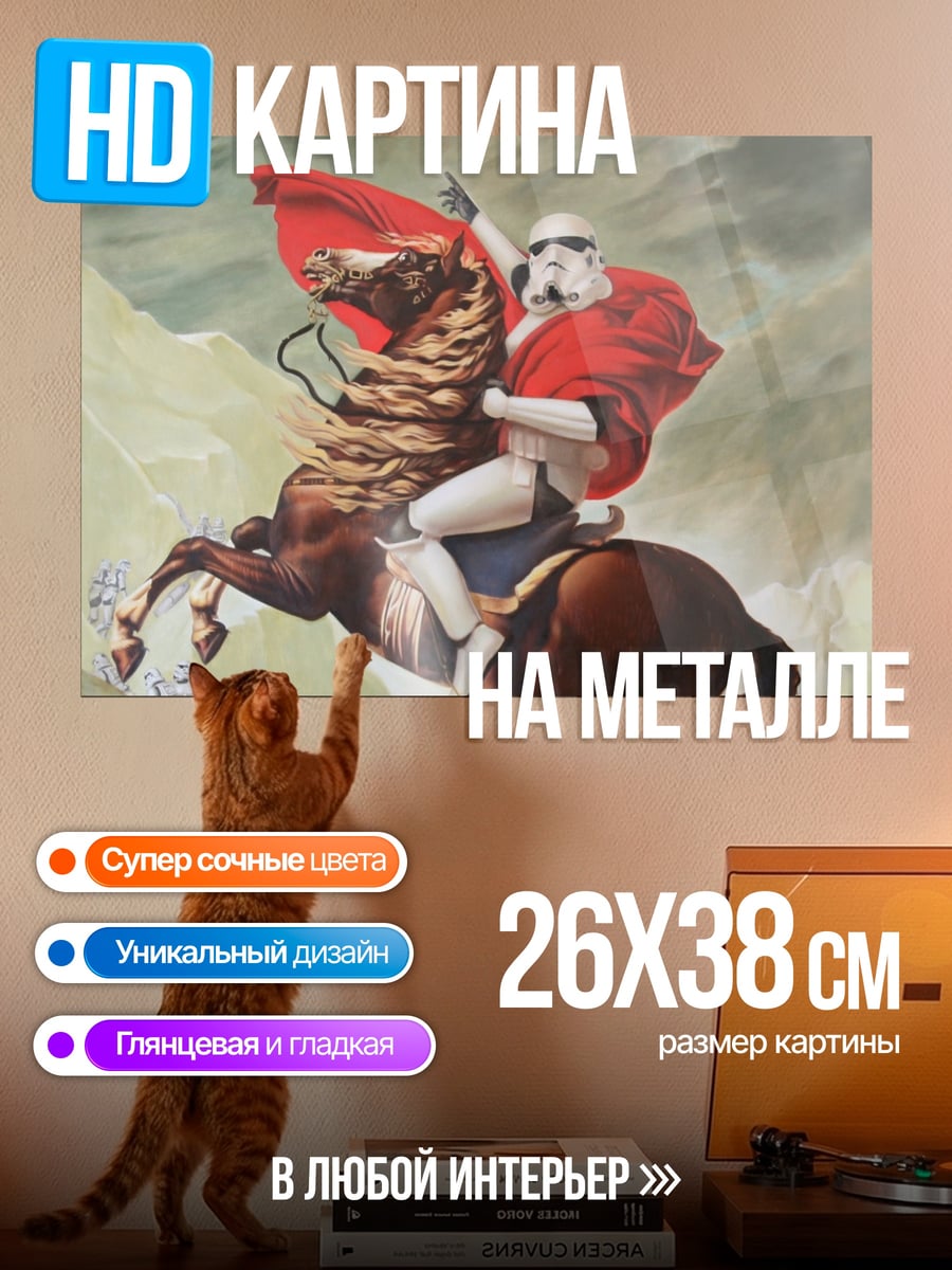 Картина на металле Штурмовик Наполеон