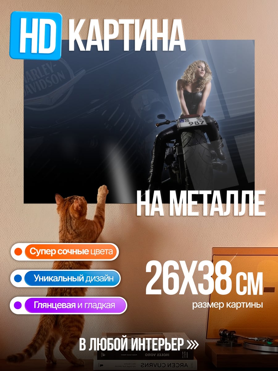 Картина на металле девушка на мотоцикле