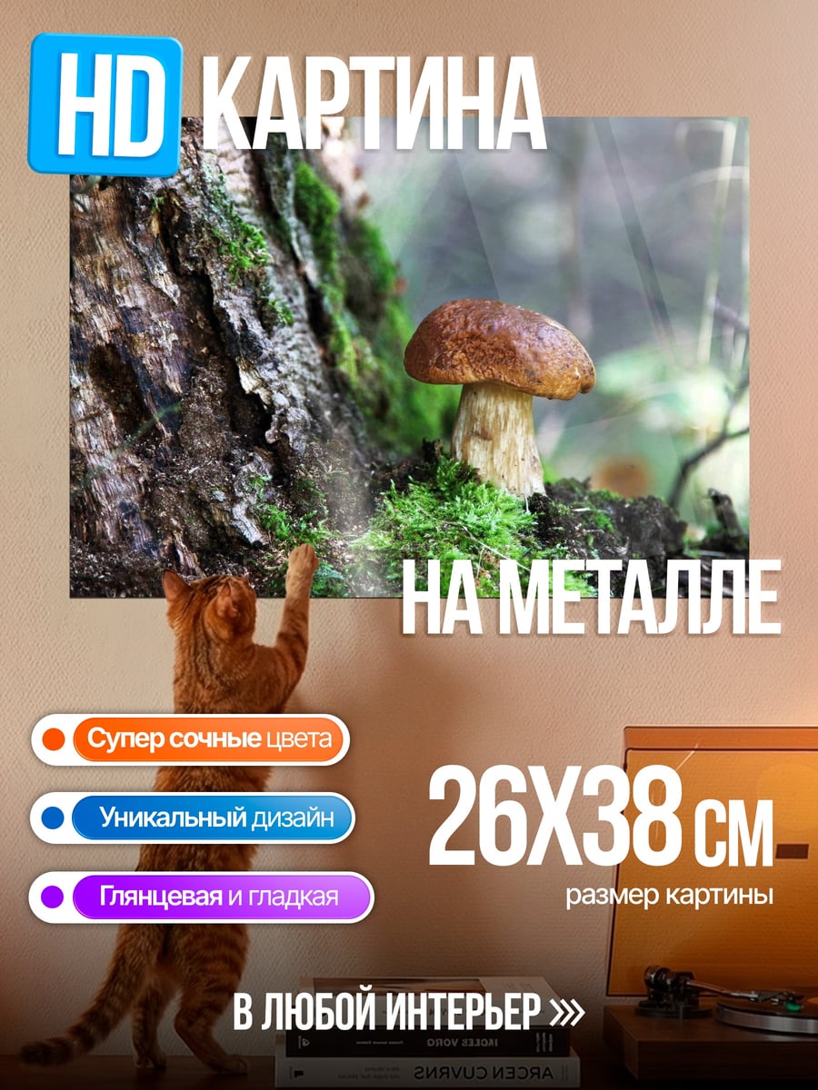 Картина на металле Белый гриб в лесу