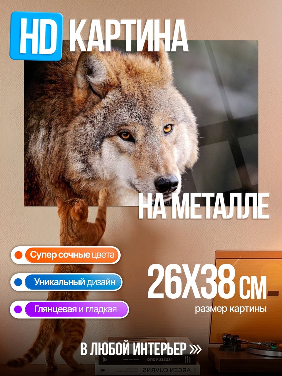 Картина на металле Крупный план волка