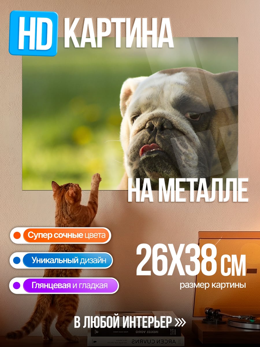Картина на металле Бульдог на траве