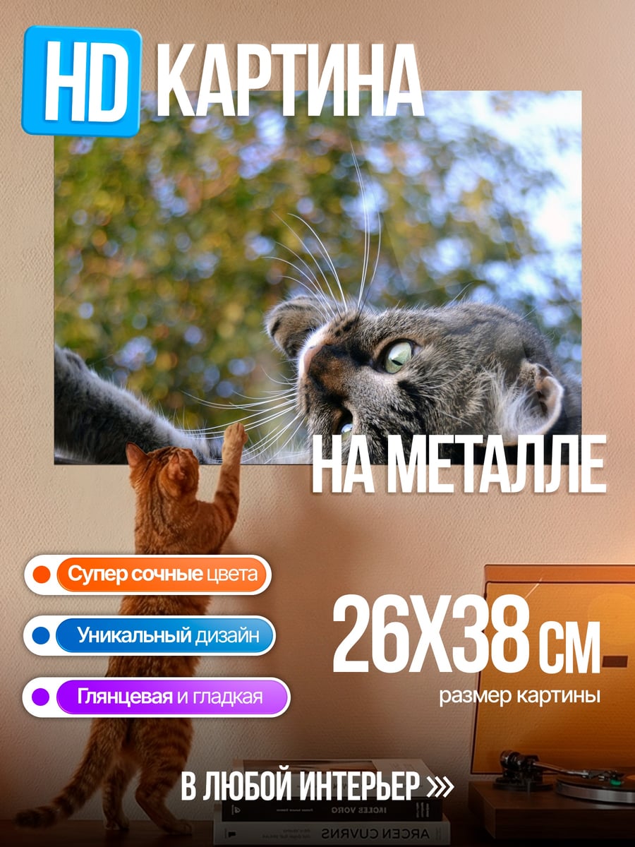 Картина на металле Кот смотрит вверх