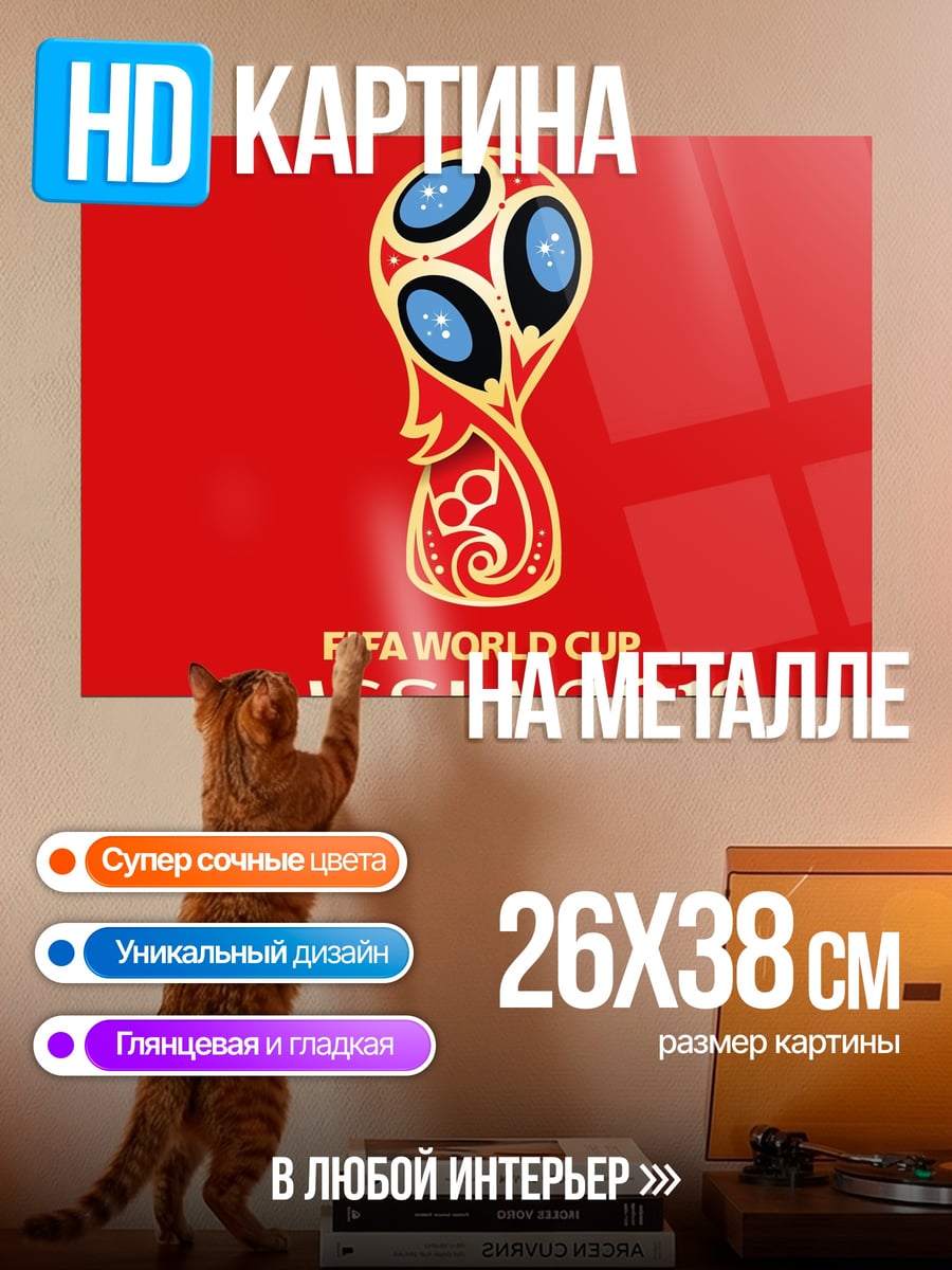 Картина на металле Кубок мира Россия 2018