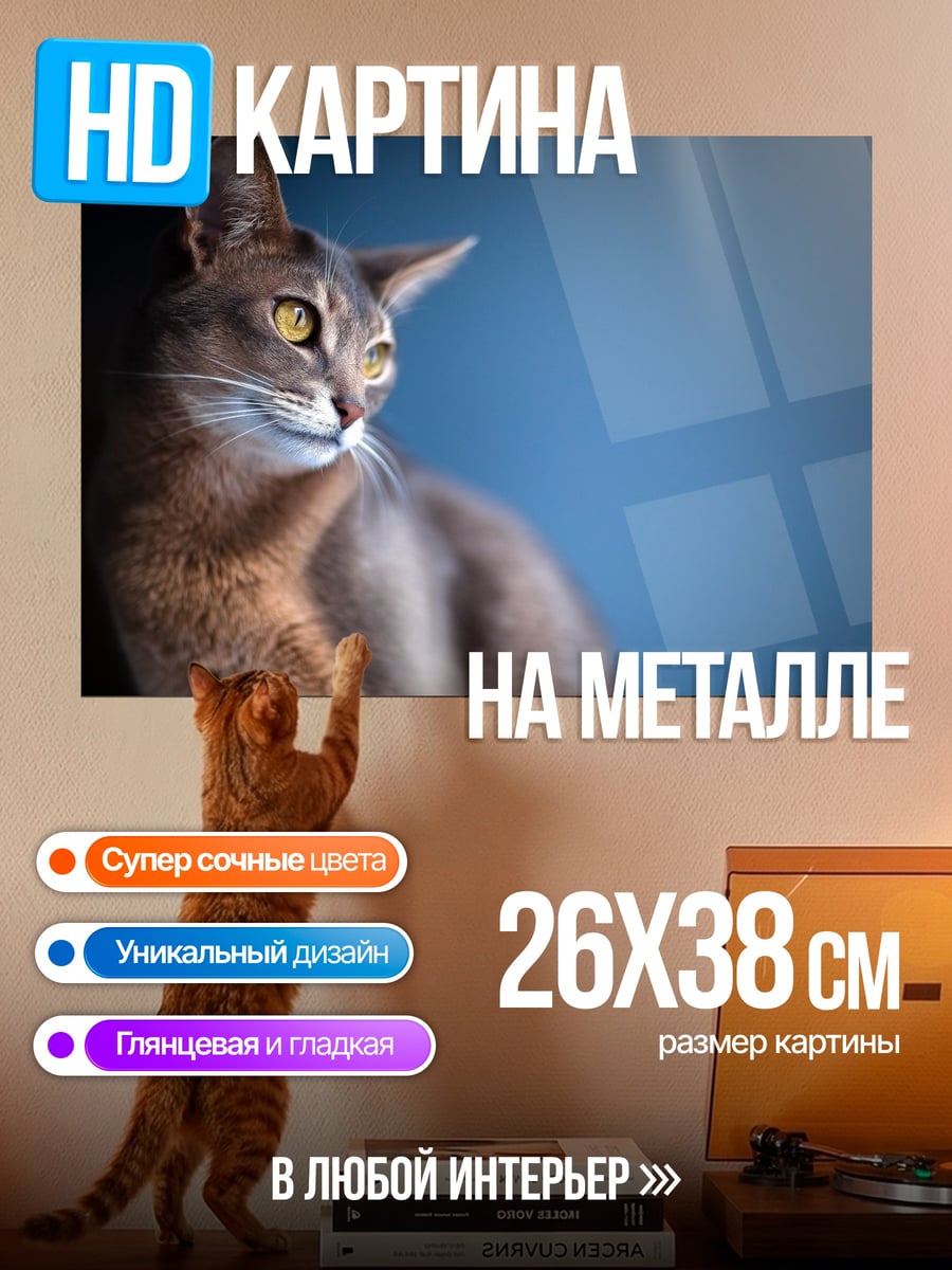 Картина на металле абиссинская кошка