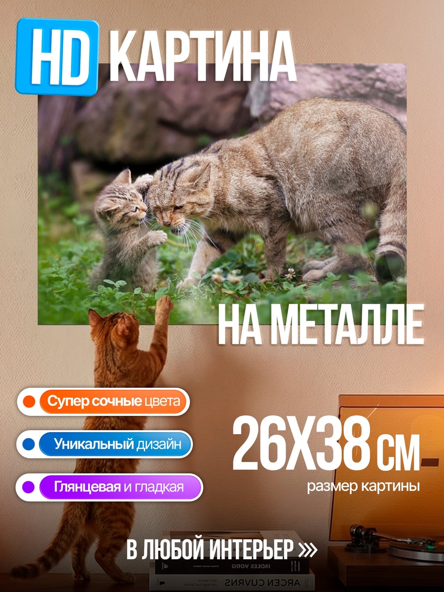 Картина на металле дикая кошка с котенком