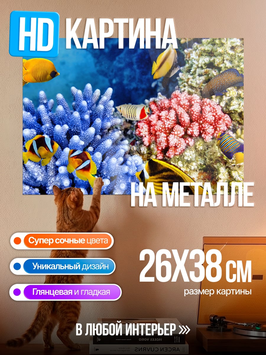 Картина на металле Коралловый риф с рыбками
